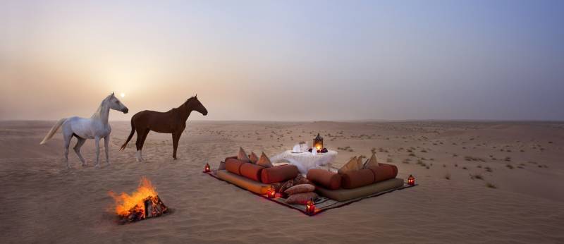 Enchanting Travels UAE Tours- Dubai - Guest Image-Kurt Seiler