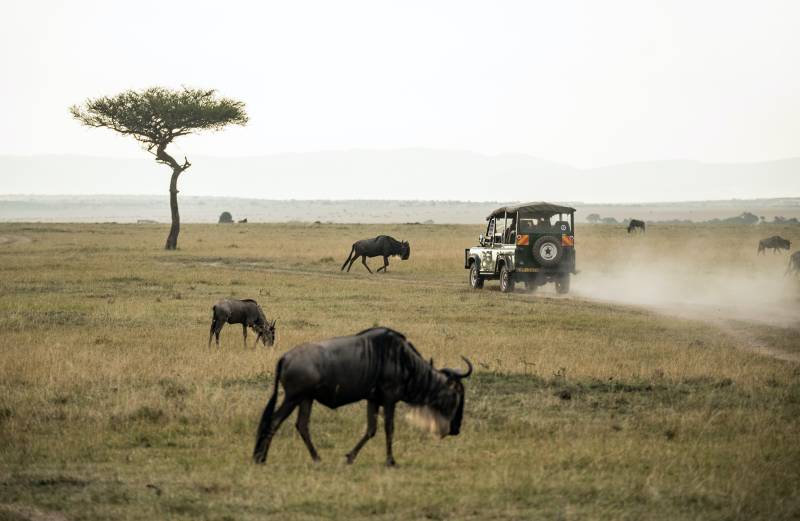 Masai Mara National Reserve, Kenya