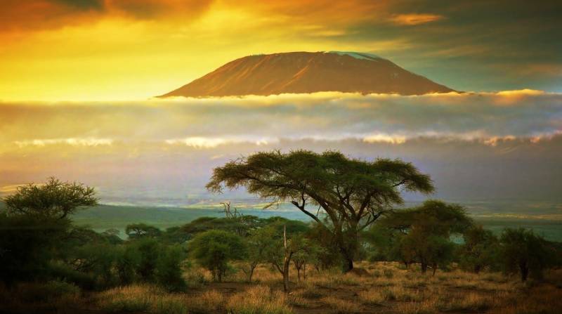 things to do in kenya