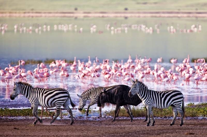 Ngorongoro Crater in Tanzania