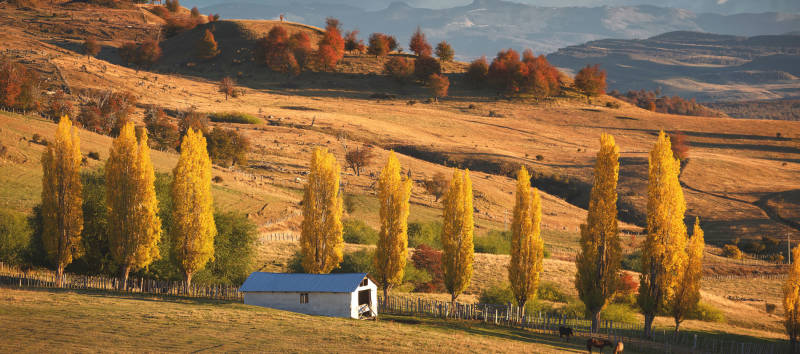 South-America-Coyhaique-Chile-Enchanting-Travels-Safety-in-Chile