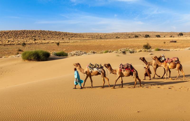 Thar desert