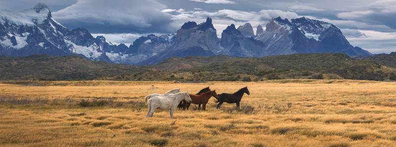 Torres del Paine National Park, Patagonia, Chile