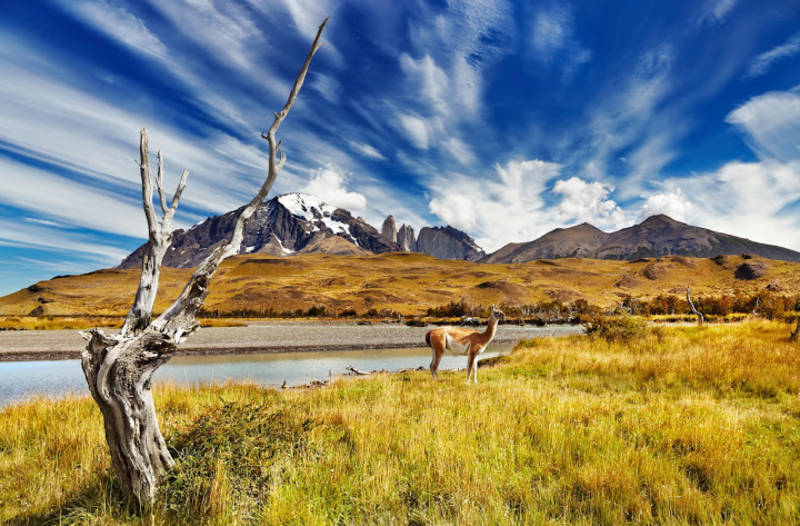 Torres del Paine National Park