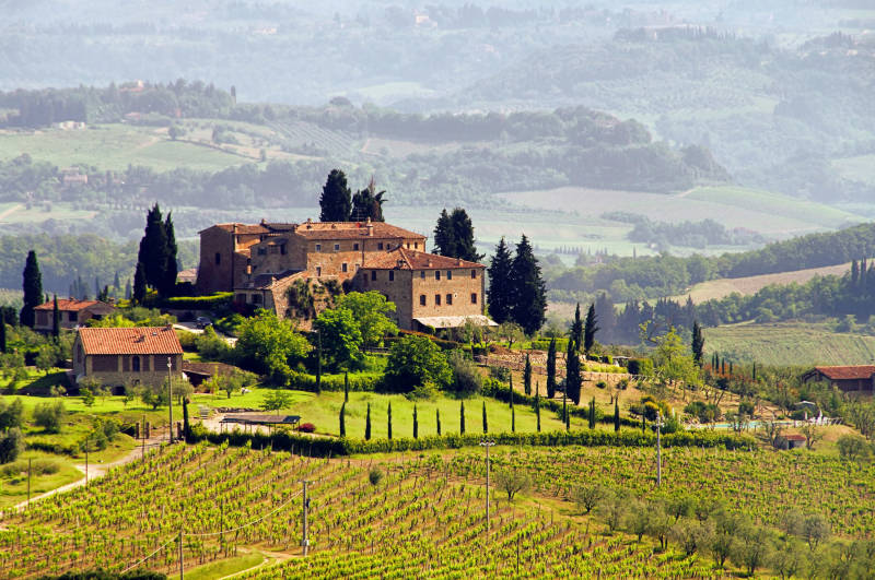 Tuscany vineyard