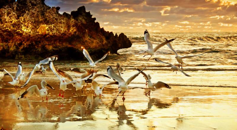 Two Rocks Sunset - Perth Australia - Copy