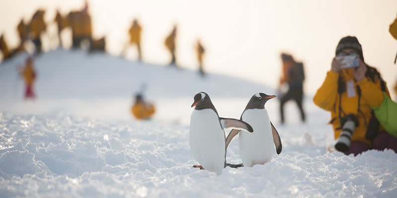 Antarctica