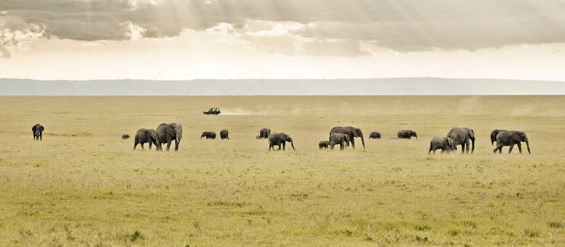 kenya travel