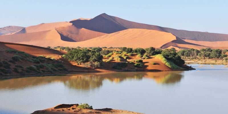 Namib Desert
