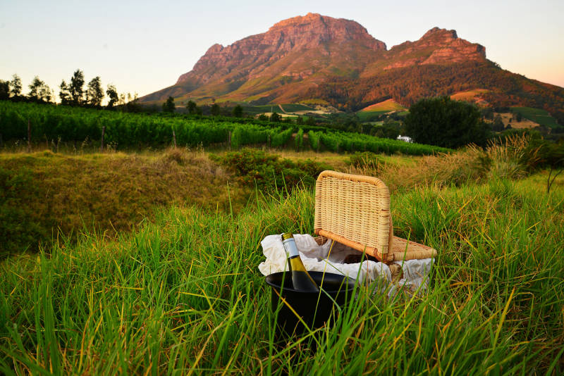 Wine lands of the Cape South Africa Tour