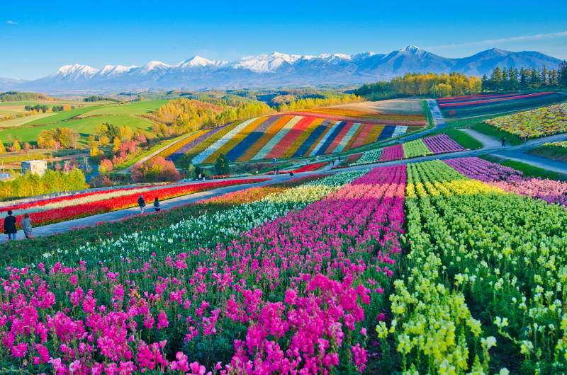 Japan
