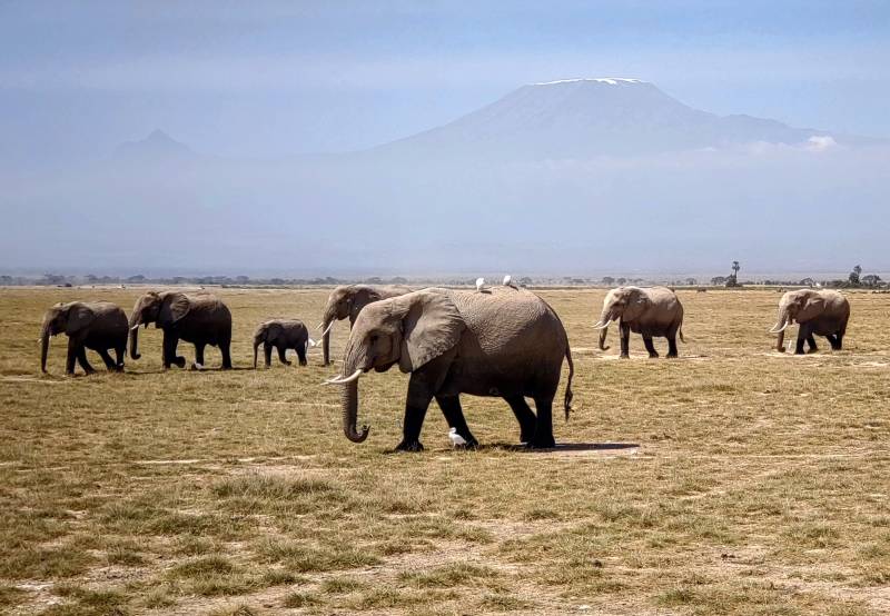 Enchanting-Travels-Tanzania-Kenya