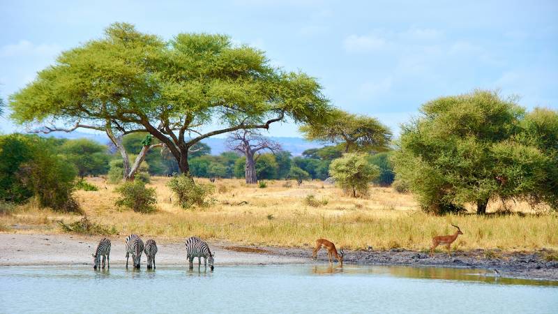 Tanzania