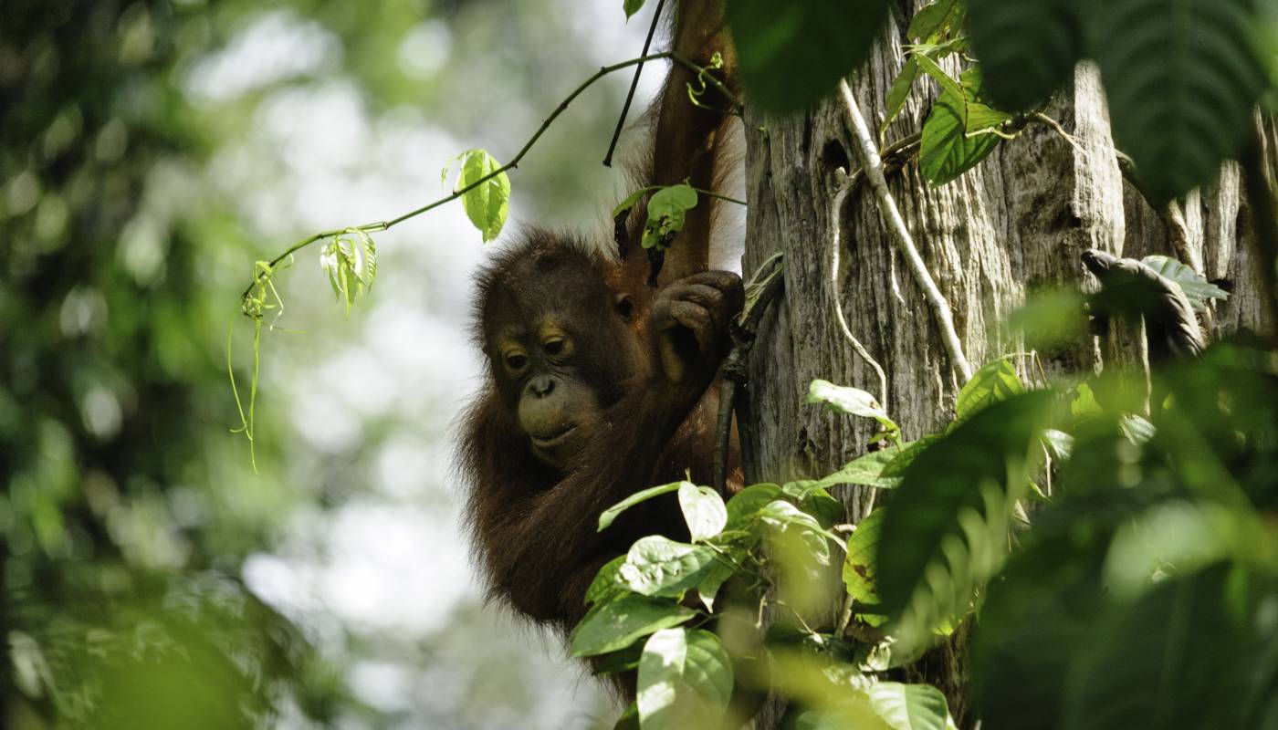 Where Adventure Holidays Begin