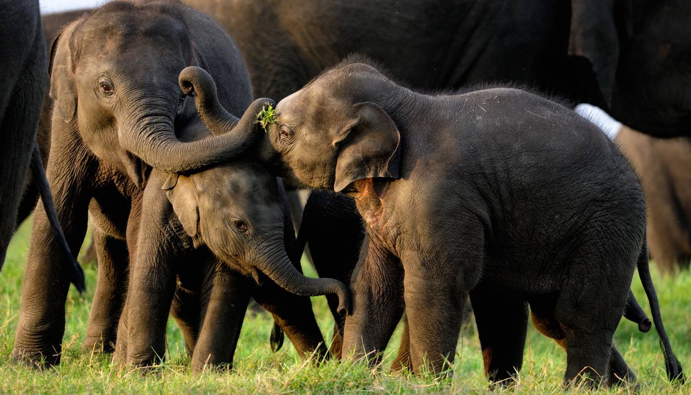 Where Adventure Holidays Begin