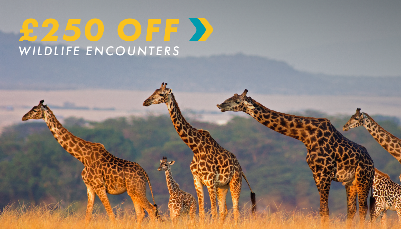 Where Adventure Holidays Begin