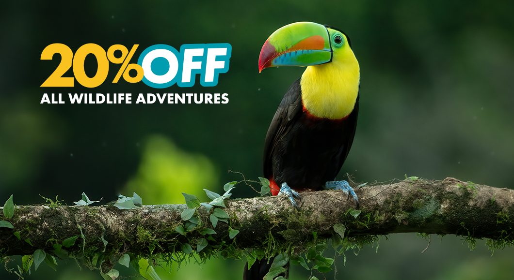 Where Adventure Holidays Begin