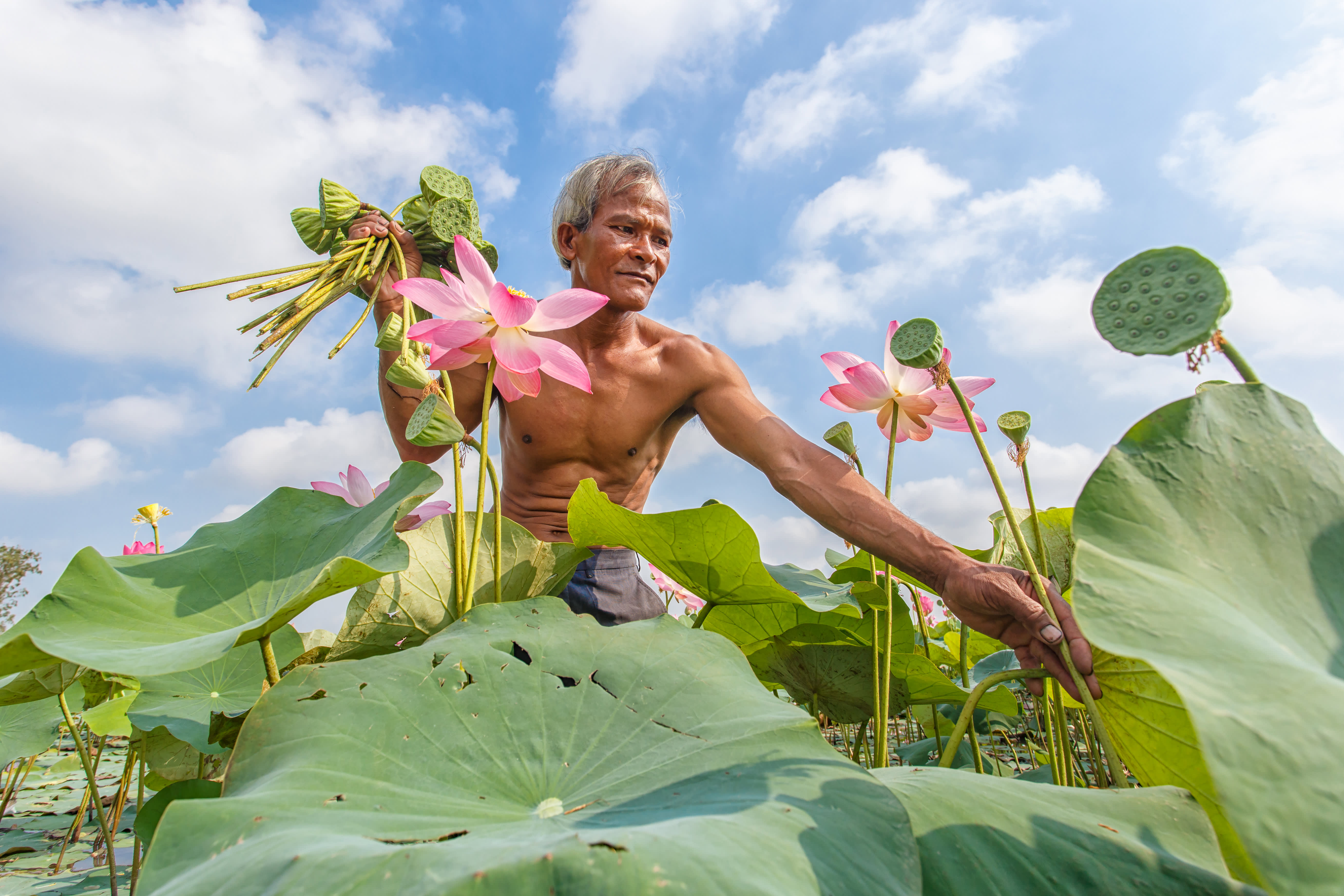 Southeast Asia Family Adventure