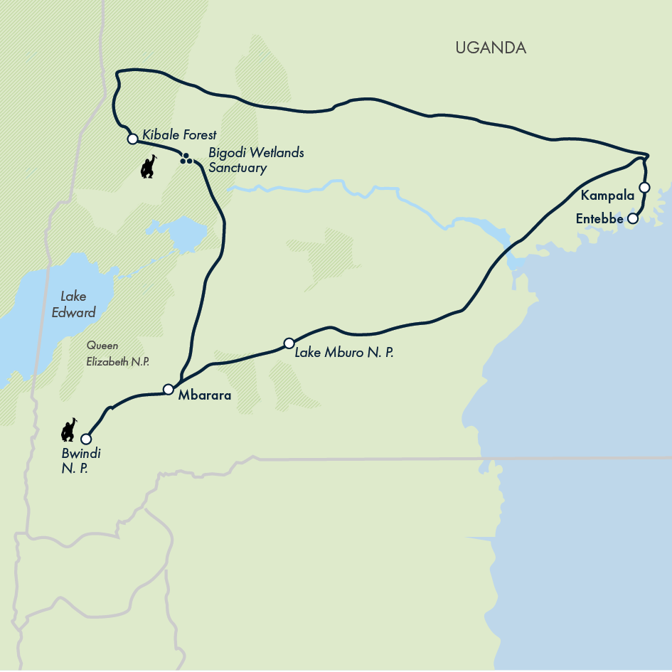 Chimps & Gorillas of Uganda