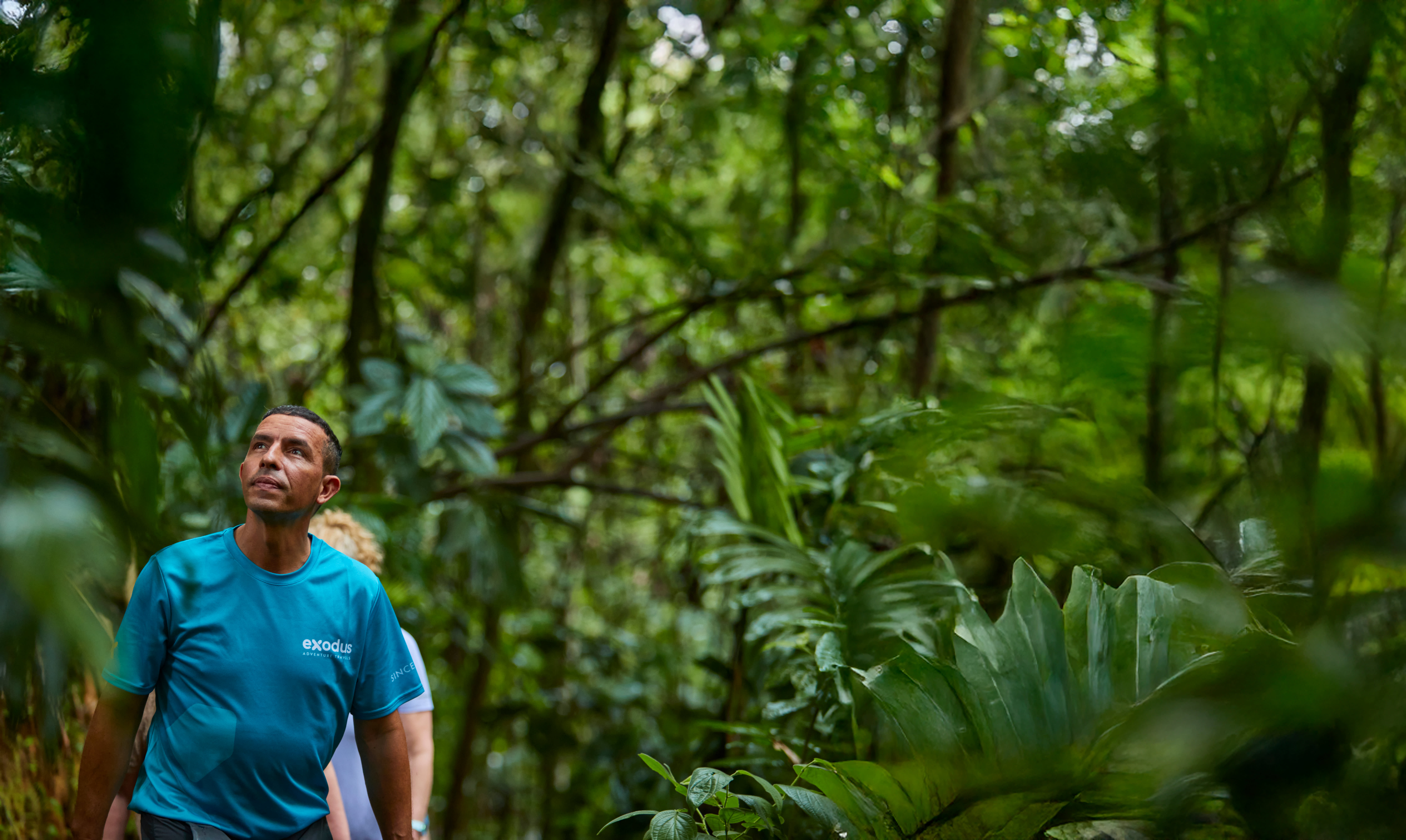 Natural Highlights of Costa Rica