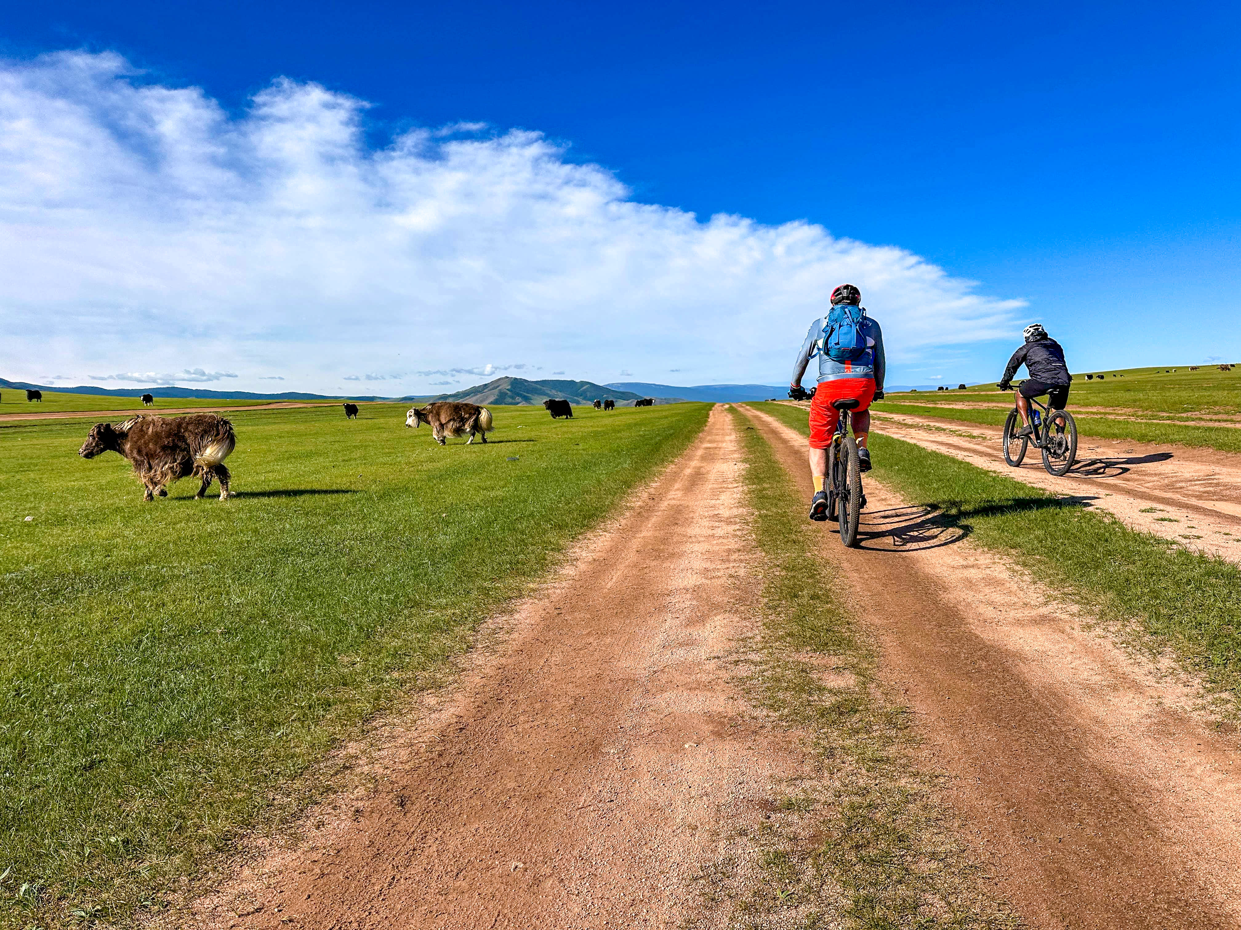 Cycling in Mongolia