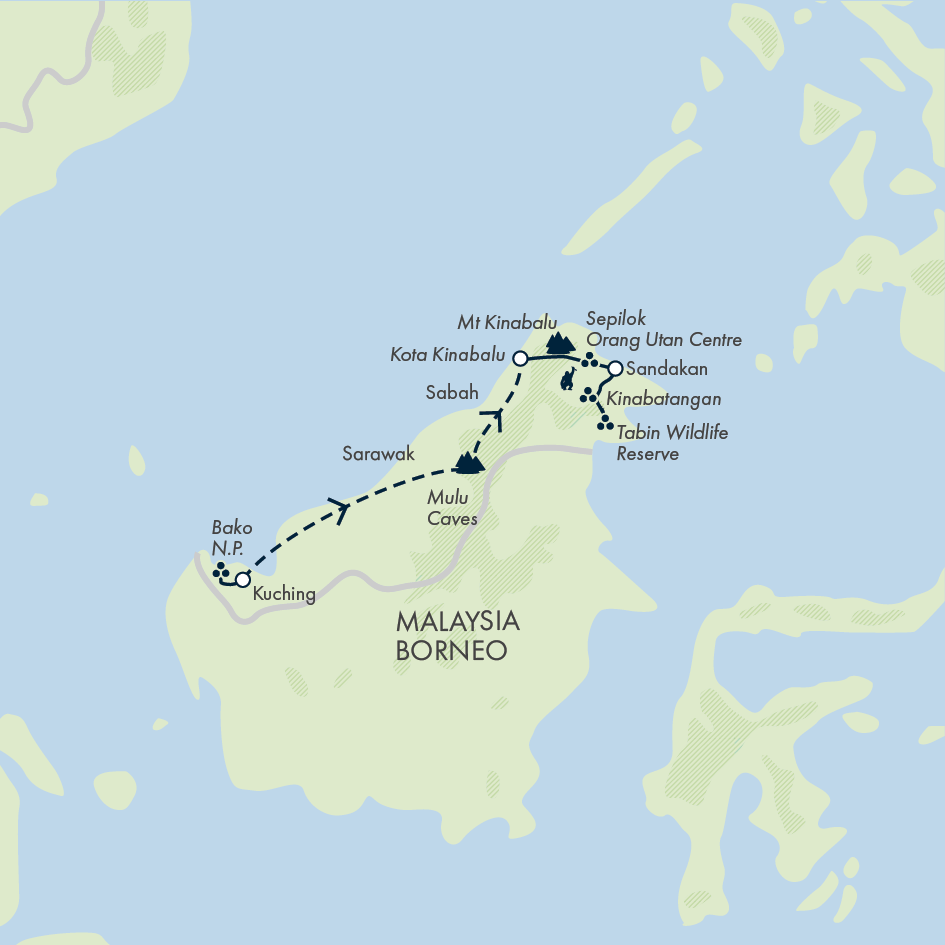 Borneo Wildlife Discoverer