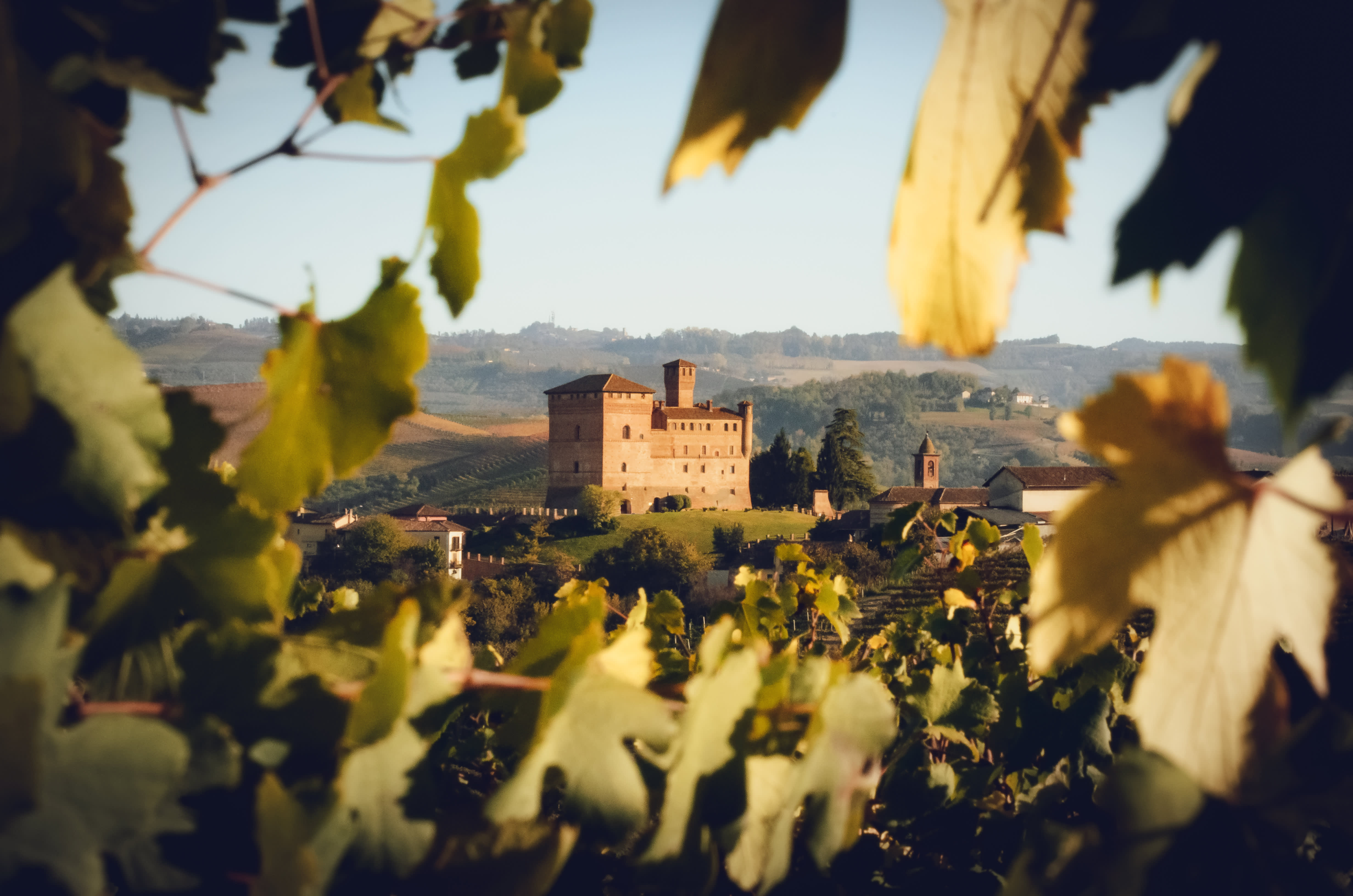 Barolo Gastronomic Self-Guided Cycling by E-Bike