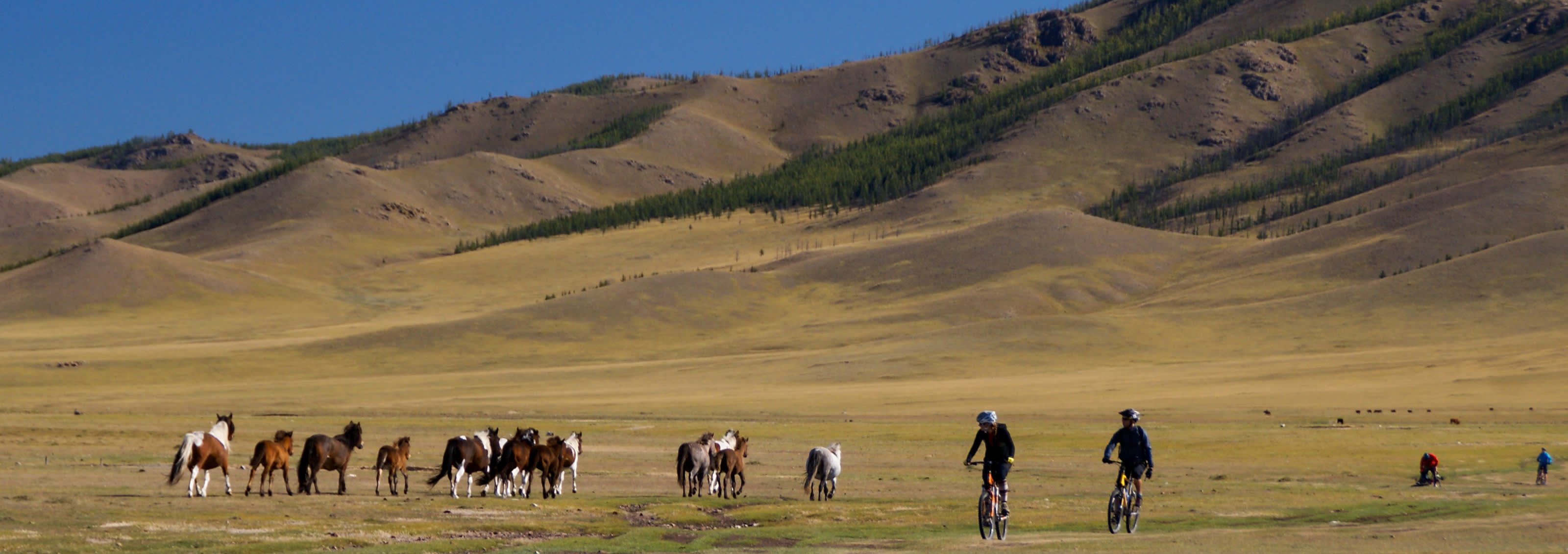 exodus travel mongolia