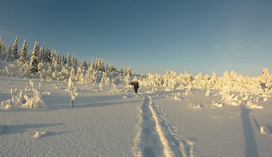 Cross-Country Skiing In Venabu | Exodus