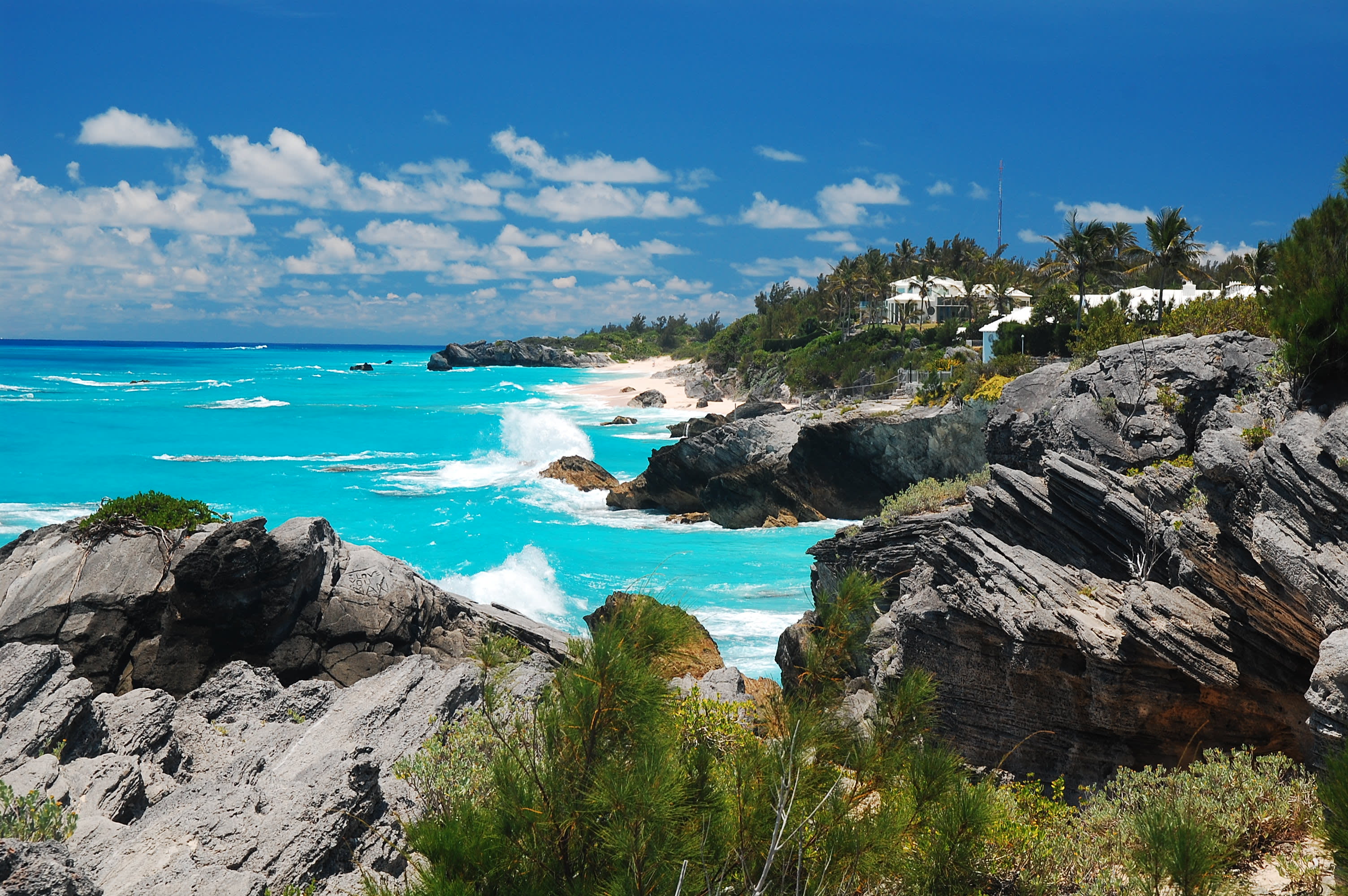 holiday tours bermuda