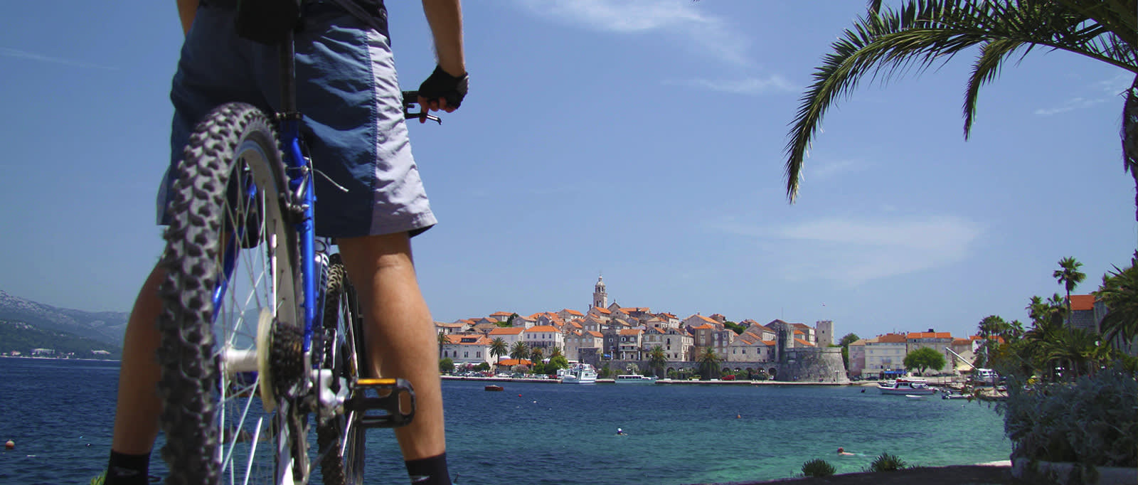 best bicycle sites