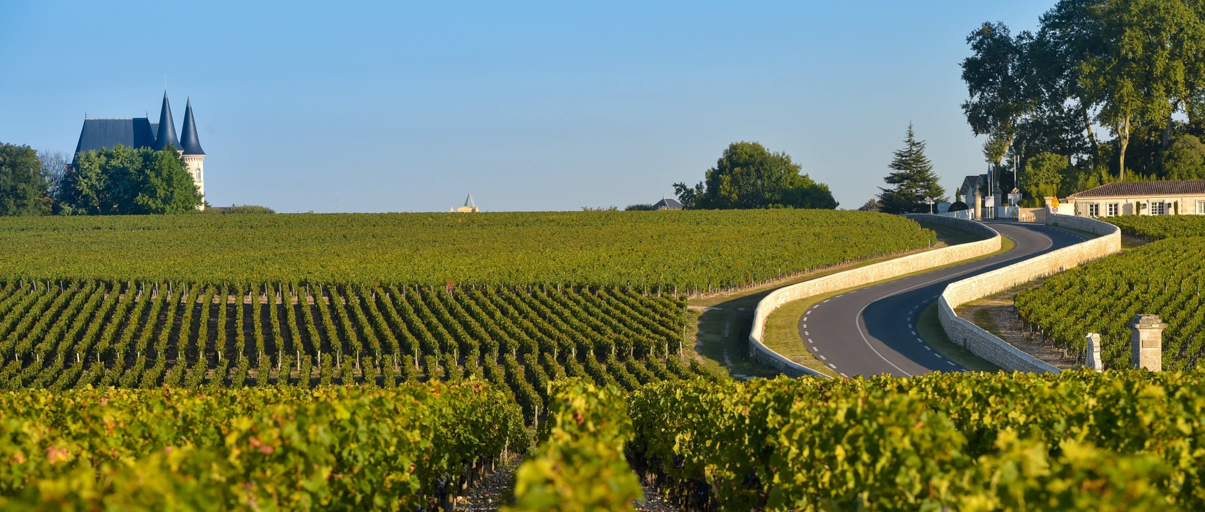 Bordeaux Vineyards G 