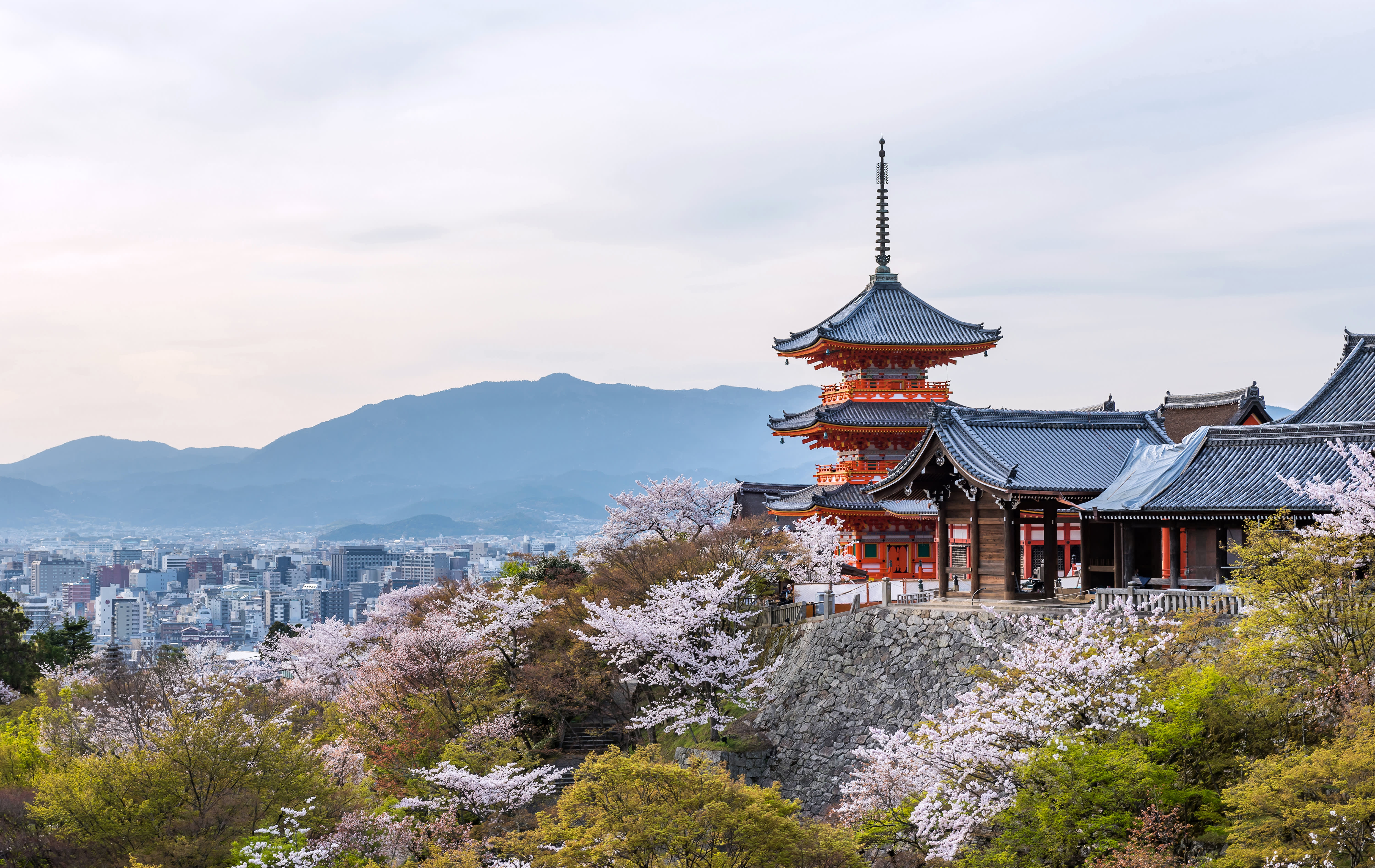 Japan Tours | Trips to Japan | Japan Holidays | Exodus