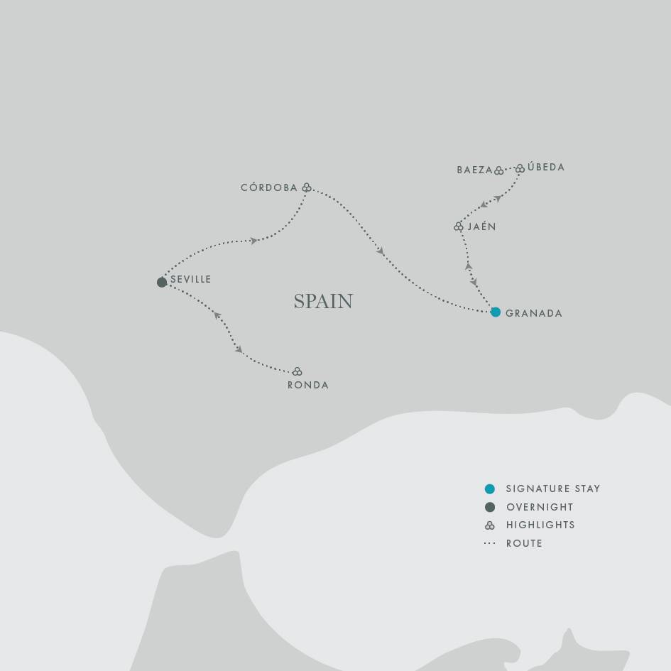 Signature Spain | Light Through Olive Groves