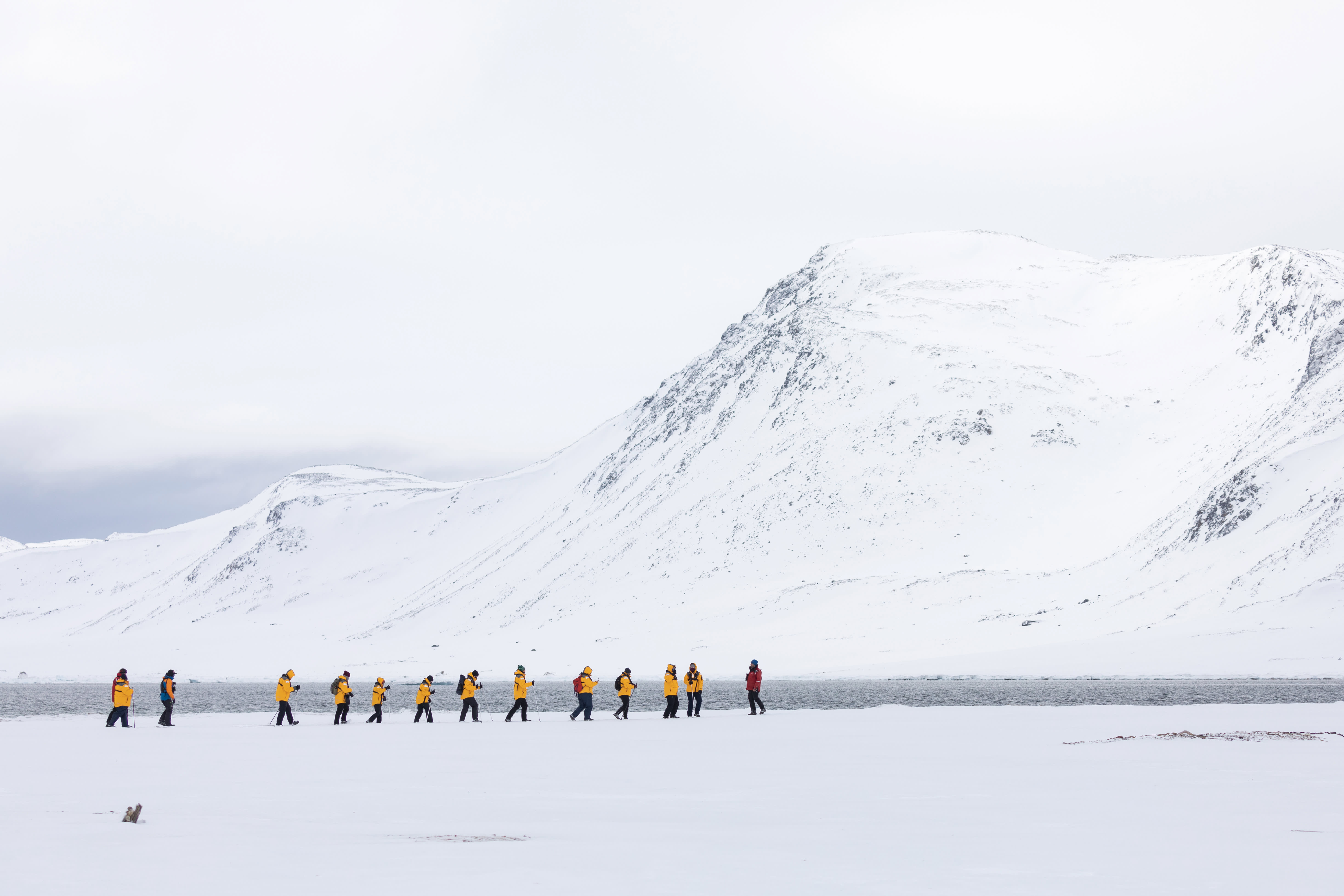 Svalbard in Spring: Sea Ice, Pristine Snow and Wildlife