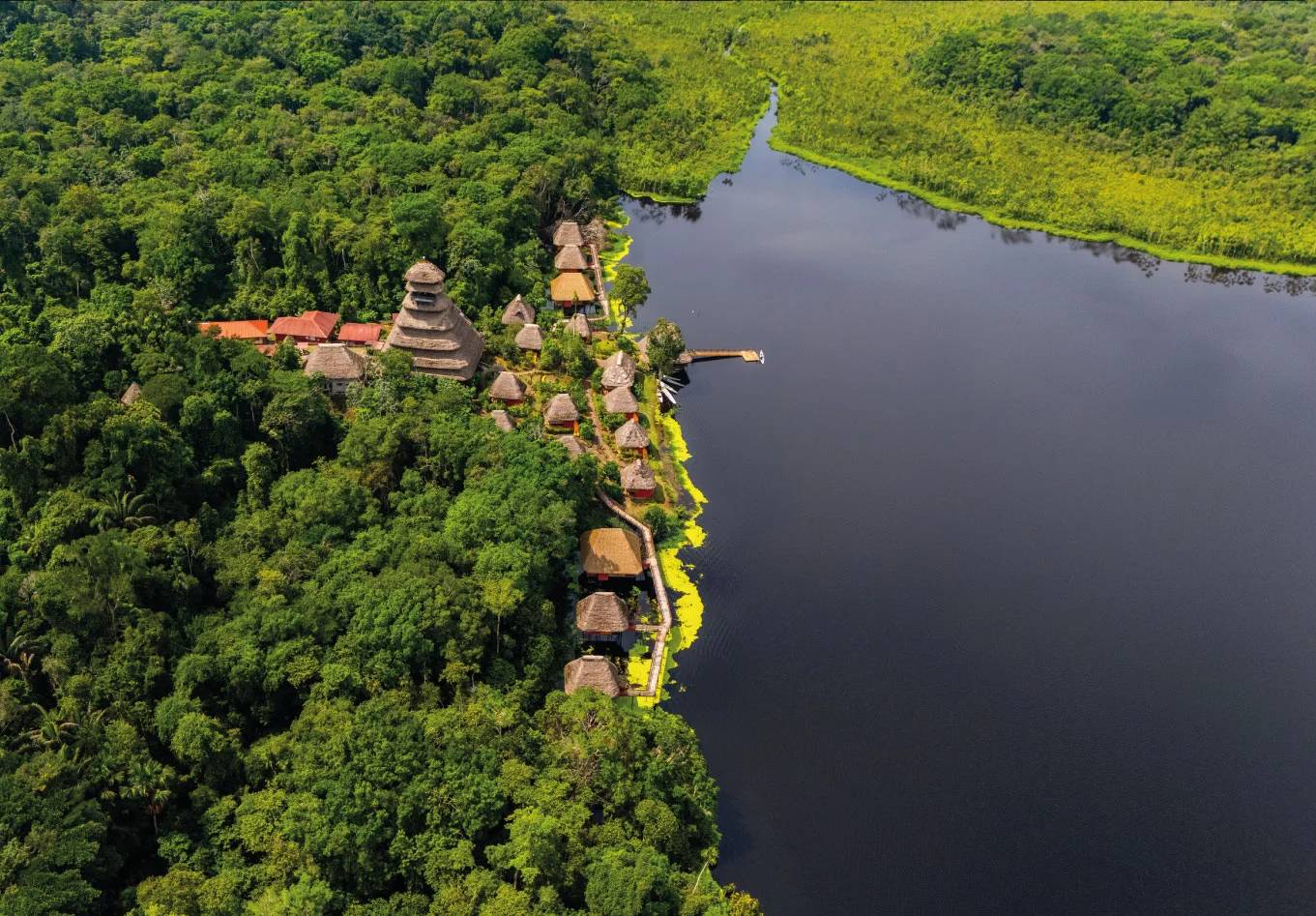 Amazon Add-on Tour – Napo Wildlife Center