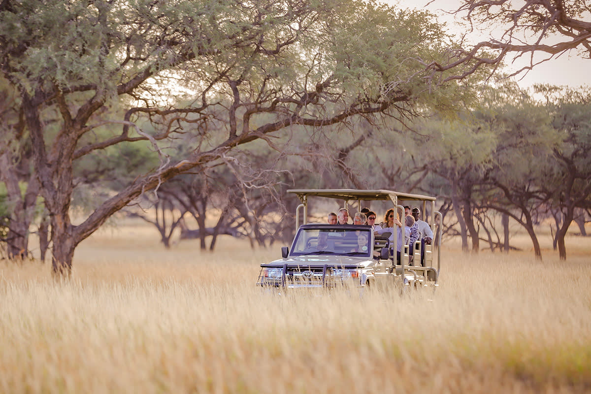 Discover Namibia In Style