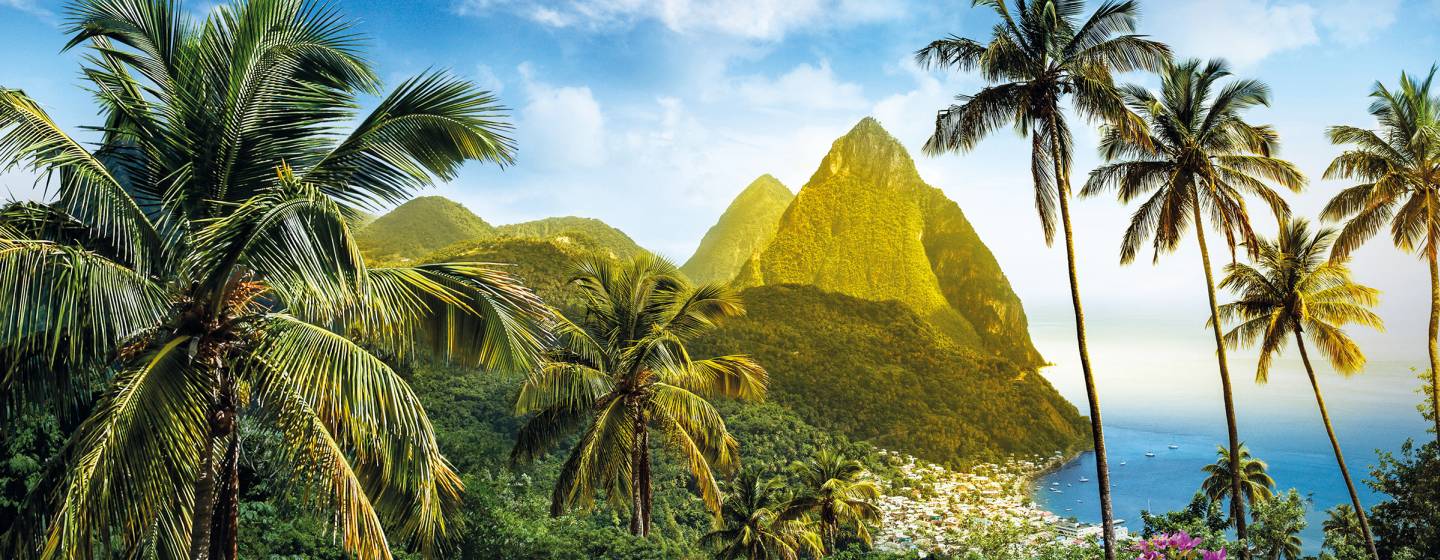 Palm trees and mountains