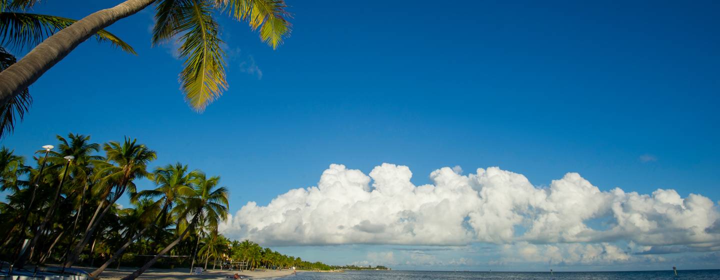 Tropical Beach Florida Keys