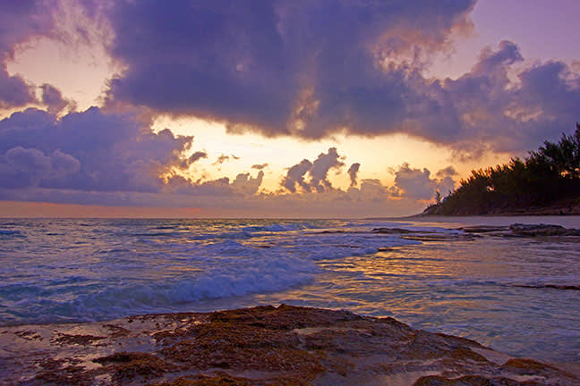 Ultimate Guide to the BVI