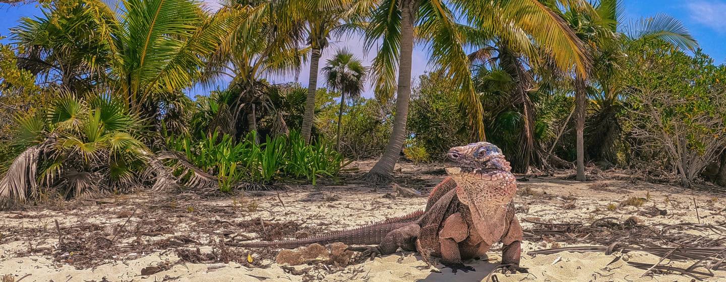 Abacos, Bahamas