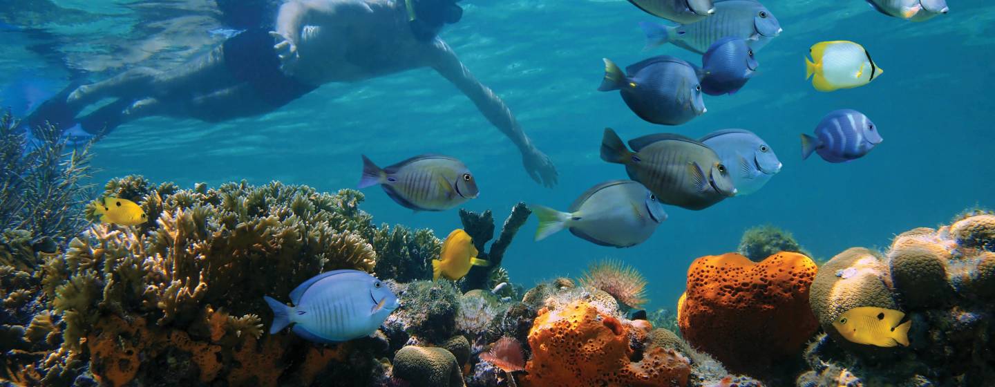 The Whitsundays, Australia