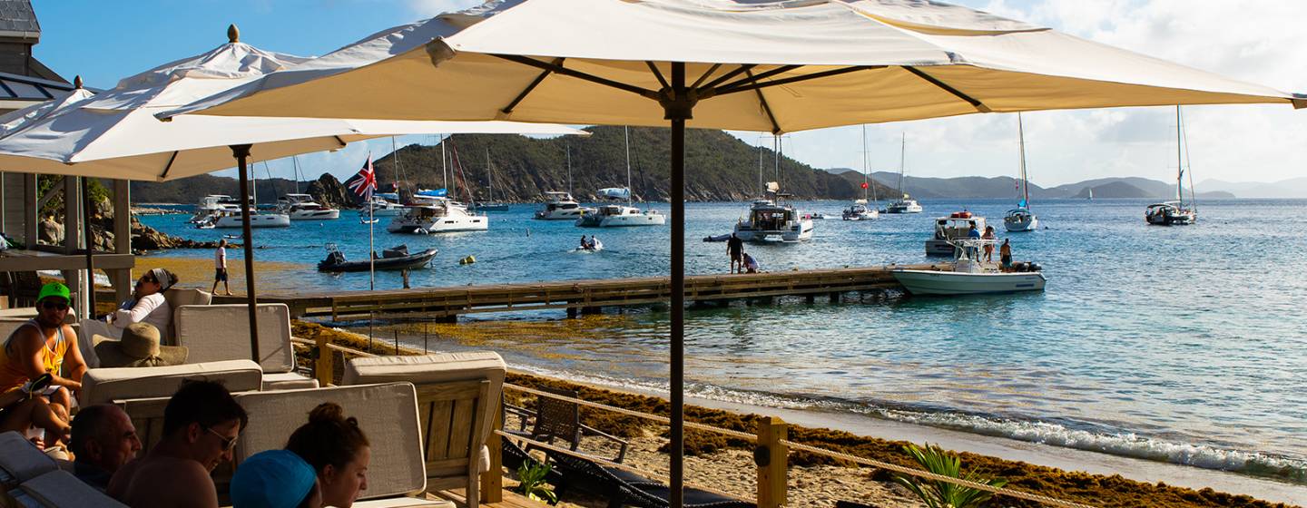 Ultimate Guide to the BVI