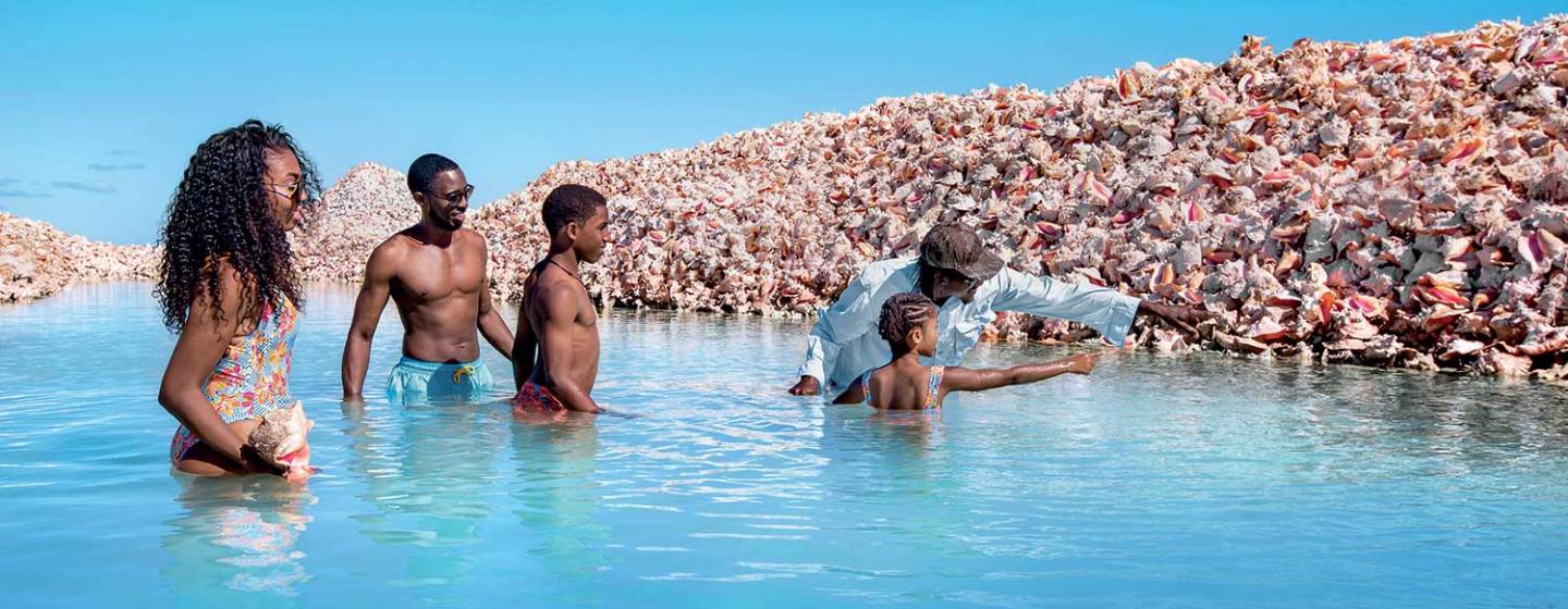 Conch Shell Mound Anegada Iles Vierges britanniques