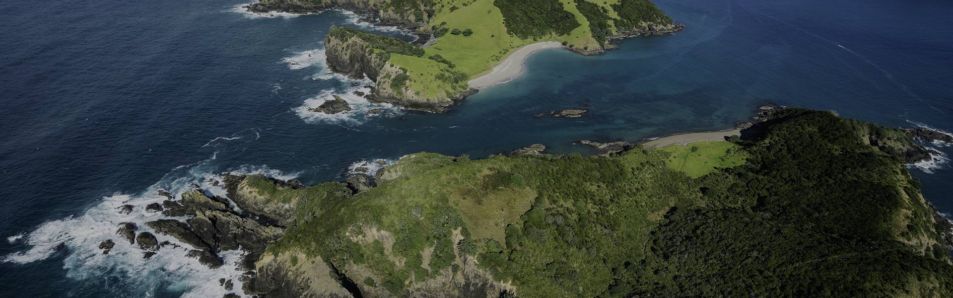 New Zealand Hero LCT Blog