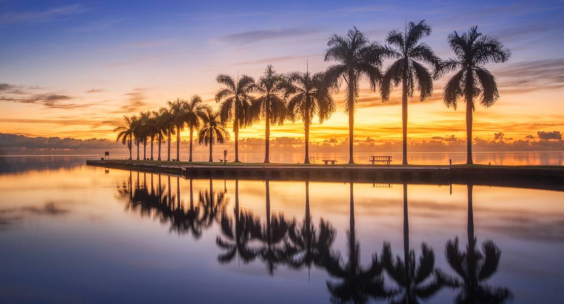 Strip of palm trees on water with Miami sunset.