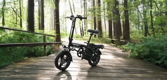 Bicicletta elettrica