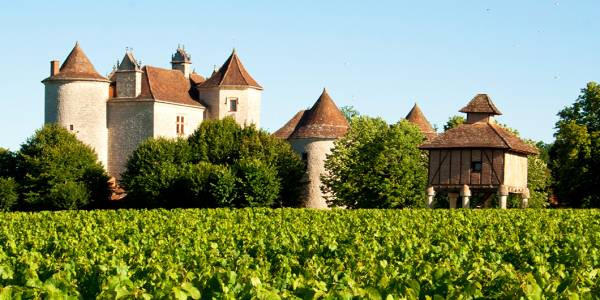 Lagrezette Vineyards, Caillac