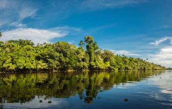 Amazon Rainforest Add-on Tour (from Cuzco)