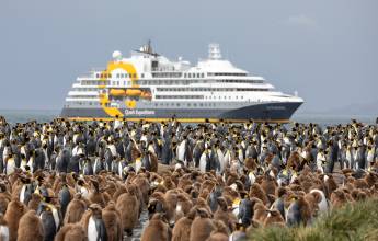 Epic Antarctica: Falklands, South Georgia & Antarctic Circle Crossing via Buenos Aires